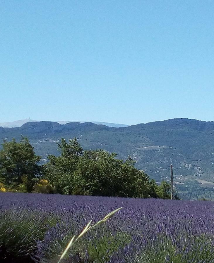 Gite La Fleur D Olivier Ньон Экстерьер фото
